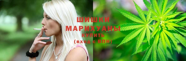 винт Бородино