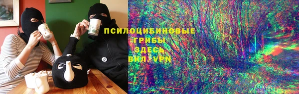 винт Бородино