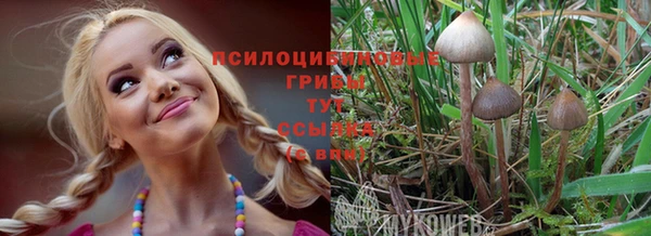 винт Бородино