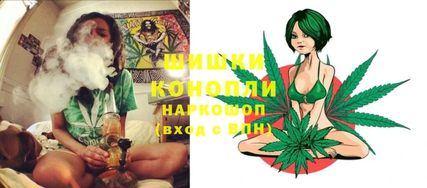 винт Бородино