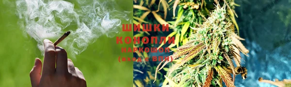 винт Бородино